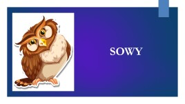 Logo Sowy