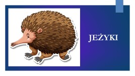 Logo Jeżyki